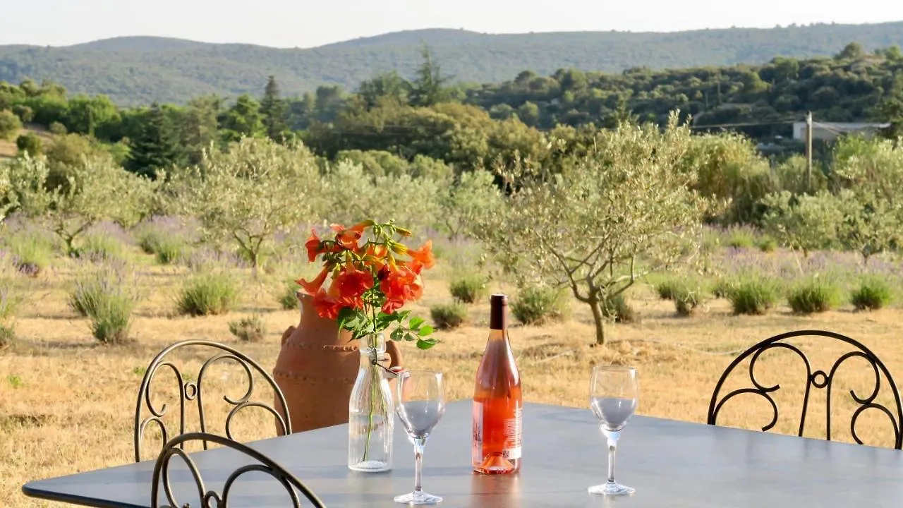 Le Clos D'Estellan - Piscine Chauffee Bonnieux 0*,